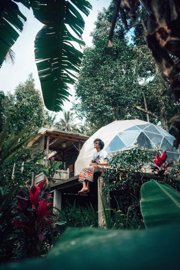 Bali Jungle Camping By Amerta Experience Табанан Экстерьер фото